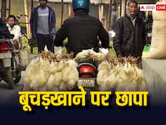 महाराष्ट्र में बूचड़खाने पर पुलिस का छापा, जानवरों के अंगों से घी तैयार करने वाली फैक्ट्री का भंडाफोड़