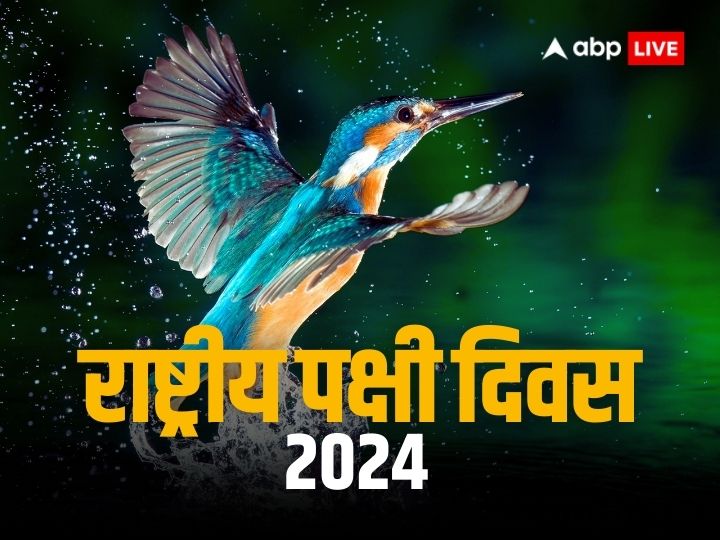 National Bird Day 2024 On January 5 Motivate Yourself By Learning These   De5b0acd696f081a4fd3e60b19727adf1704376201599466 Original 