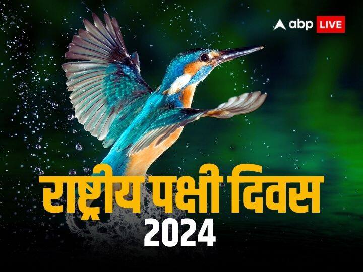 National Bird Day 2024: पक्षी सिखाते हैं ऊंची उड़ान भरना, पक्षियों से ये सीख लेकर खुद को करें मोटिवेट National Bird Day 2024 on January 5 Motivate yourself by learning these lessons from birds National Bird Day 2024: पक्षी सिखाते हैं ऊंची उड़ान भरना, पक्षियों से ये सीख लेकर खुद को करें मोटिवेट