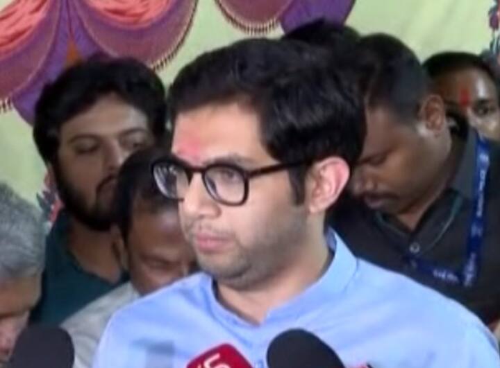 आदित्य ठाकरे यांचे बॉम्बे स्कॉटीशमधून शालेय शिक्षण झाले तर झेवियर्समधून महाविद्यालयीन शिक्षण त्यांनी पूर्ण केले.आदित्य ठाकरे यांनी कायद्यामध्ये पदवी घेतली आहे.