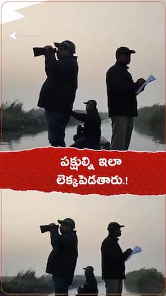 పక్షుల్నిఇలా లెక్కపెడతారు.!