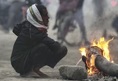 Delhi-Punjab-Haryana Weather: दिल्ली-पंजाब और हरियाणा में अब कैसा रहेगा मौसम? IMD ने दिया ताजा अपडेट