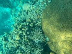 PM Modi : पंतप्रधान मोदींची समुद्रसफारी, लक्षद्वीपमधील फोटो केले शेअर