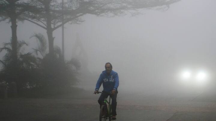 হালকা থেকে মাঝারি কুয়াশা থাকবে দার্জিলিং, কালিম্পং, আলিপুরদুয়ার কোচবিহার ও উত্তর দিনাজপুর জেলাতে। ২-১ টি জেলায় ঘন কুয়াশার সতর্কতা রয়েছে।