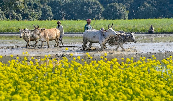 বর্তমানে পশ্চিমী ঝঞ্ঝা অতিক্রম করছে সিকিমের উপর দিয়ে। তার প্রভাবেই বৃষ্টি ও তুষারপাতের সম্ভাবনা রয়েছে পার্বত্য উত্তরবঙ্গের উঁচু এলাকাগুলিতে।