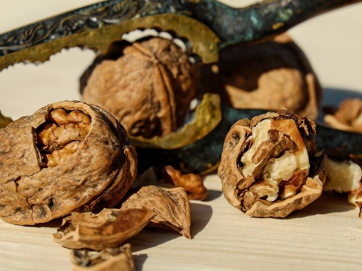 Wright Way To Cracking Walnuts : अक्रोड फोडण्याची योग्य पद्धत जाणून घ्या; एक झटक्यात अक्रोड कसे फोडायचे?