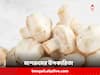 Mushrooms Benefits: মাশরুমকে ছত্রাক ভেবে এড়িয়ে যাবেন না, এর উপকারিতা জানলে চমকে যাবেন