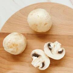 Mushrooms Benefits: মাশরুমকে ছত্রাক ভেবে এড়িয়ে যাবেন না, এর উপকারিতা জানলে চমকে যাবেন