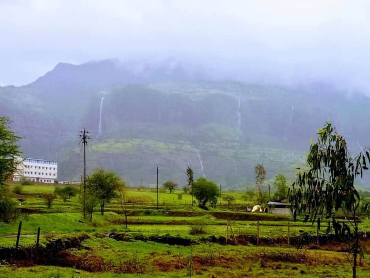 unseasonal rain possibility in Nashik, Jalgaon, Ahmednagar, Nandurbar predicted by IMD maharashtra marathi news Nashik Weather Update :  नाशिकसह 'या' जिल्ह्यांमध्ये अवकाळी पावसाची शक्यता; शेतकऱ्यांमध्ये चिंतेचे वातावरण