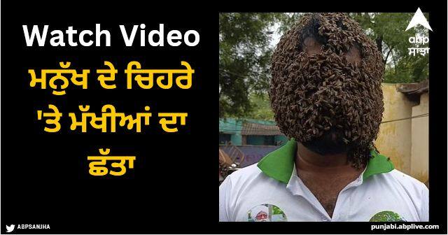 bees made their home on the face of a young man watch video Viral Video: ਮਨੁੱਖ ਦੇ ਚਿਹਰੇ 'ਤੇ ਮੱਖੀਆਂ ਦਾ ਛੱਤਾ, VIDEO ਦੇਖ ਕੇ ਉੱਡ ਜਾਣਗੇ ਹੋਸ਼