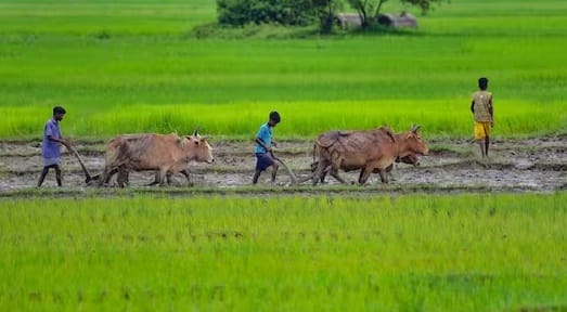 હવે દેશભરના તમામ ખેડૂતો 2024ના પ્રથમ હપ્તાની અને પીએમ કિસાન યોજનાના 16મા હપ્તાની રાહ જોઈ રહ્યા છે.