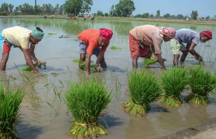 PM Kisan Yojana: છેલ્લા કેટલાક વર્ષોથી પીએમ કિસાન યોજના હેઠળ દેશભરના તમામ ખેડૂતોને આર્થિક સહાય આપવામાં આવે છે.