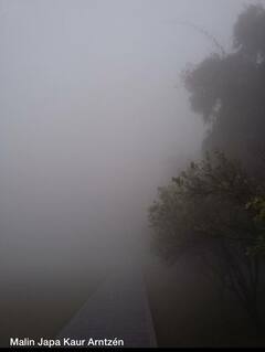 Punjab Weather: ਪੰਜਾਬ ਦੇ ਕਿਹੜੇ ਜ਼ਿਲ੍ਹਿਆਂ 'ਚ ਮੌਸਮ ਵਿਭਾਗ ਨੇ ਜਾਰੀ ਕੀਤਾ ਅਲਰਟ, ਨਾਲੇ ਮੀਂਹ ਦੀ ਜਤਾਈ ਸੰਭਾਵਨਾ, ਇੱਥੇ ਜਾਣੋ