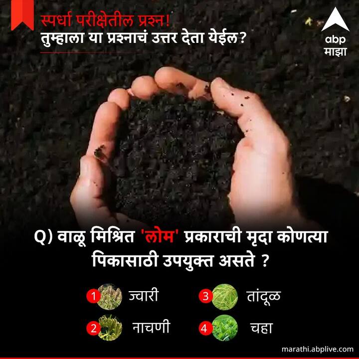 वाळू मिश्रित लोम प्रकाराची मृदा कोणत्या पिकासाठी उपयुक्त असते ?