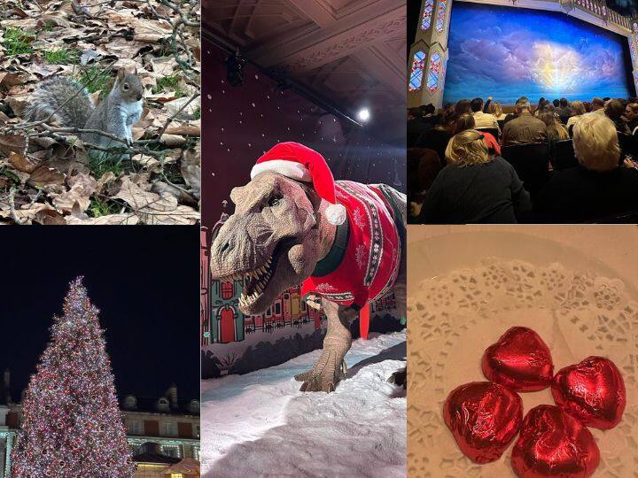 கிறிஸ்துமஸ் மரம், சாக்லேட், அணில், டைனோசர், திரையரங்கம் ஆகியவற்றின் புகைப்படங்களையும் இவர் பதிவிட்டுள்ளார் என்பது குறிப்பிடத்தக்கது.