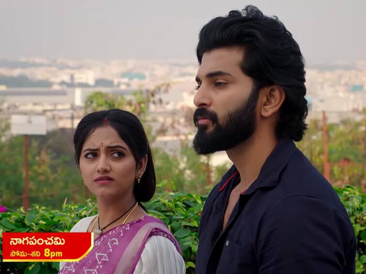 naga panchami serial today january 5th episode written update in telugu Naga Panchami Serial Today January 5th: 'నాగ పంచమి' సీరియల్: మోక్షను కాటేసి చంపేయనున్న పంచమి, ఇష్టరూప శక్తులు ప్రసాదించిన నాగదేవత!