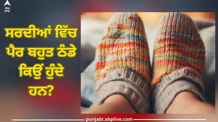 cold feet during winter blame it on these 6 reasons health care news abpp Cold Feet Causes: ਸਰਦੀ ਹੋਵੇ ਜਾਂ ਗਰਮੀ ਪੈਰ ਹਮੇਸ਼ਾ ਬਰਫ ਵਾਂਗ ਰਹਿੰਦੇ ਠੰਡੇ...ਇਸ ਗੰਭੀਰ ਬਿਮਾਰੀ ਦੇ ਲੱਛਣ, ਇਸ ਤਰ੍ਹਾਂ ਕਰੋ ਪਛਾਣੋ