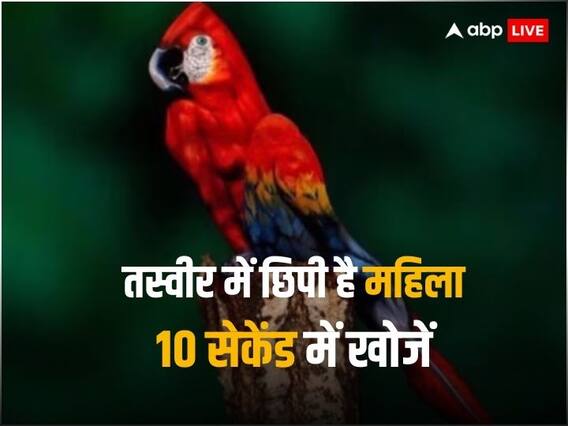 Optical Illusion: इस तस्वीर में छिपी है महिला, 10 सेकेंड में खोज लिया तो कहलाएंगे जीनियस! Optical Illusion: इस तस्वीर में छिपी है महिला, 10 सेकेंड में खोज लिया तो कहलाएंगे जीनियस!