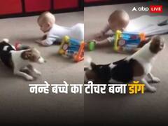 Video: टीचर बना डॉग, नन्हे बच्चे को रेंगना सिखाता दिखा ये प्यारा जानवर, वीडियो देख चेहरे पर आ जाएगी मुस्कान