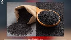 Black Sesame: ਇਹ ਕਾਲੇ ਬੀਜ ਦਿਲ ਹੀ ਨਹੀਂ ਹੱਡੀਆਂ ਨੂੰ ਵੀ ਕਰਦੇ ਮਜ਼ਬੂਤ, ਮਹਿੰਗੀਆਂ ਦਵਾਈਆਂ ਵੀ ਫੇਲ!