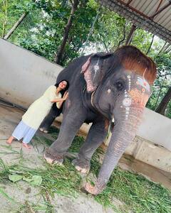 Mirnalini Ravi Photos : வேலூர் தங்க கோயிலில் சுவாமி தரிசனம் செய்த மிருணாளினி ரவி!