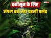 हनीमून मनाने के लिए युवाओं को पसंद आ रहा जंगल, आप भी बना सकते हैं प्लान