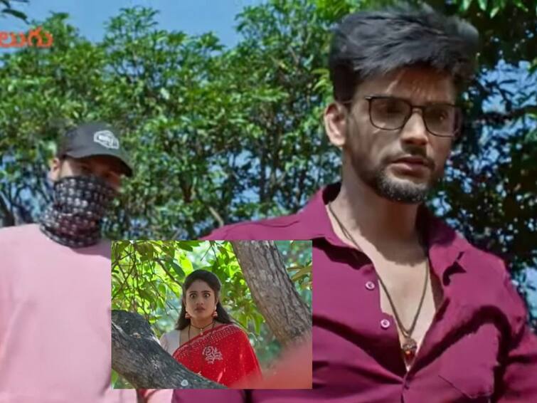 Jagadhatri telugu serial January 5th episode written update Jagadhatri serial Today January 5th: 'జగద్ధాత్రి' సీరియల్: కొన ప్రాణంతో కొట్టుమిట్టాడుతున్న కేదార్, కోపంతో రగిలిపోతున్న ధాత్రి!