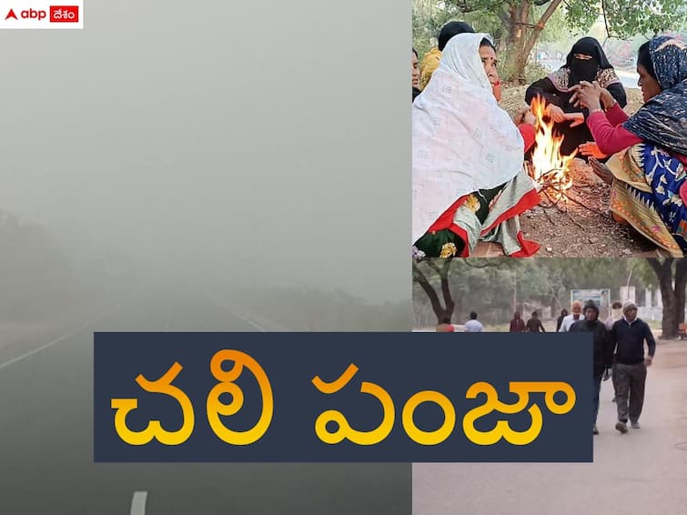 extreme cold in adilabad district Telangana News: ఎముకలు కొరికే చలి - ఉమ్మడి ఆదిలాబాద్ జిల్లాలో కనిష్ట స్థాయికి ఉష్ణోగ్రతలు