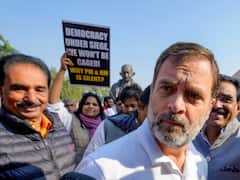 Bharat Jodo Nyay Yatra: Rahul Gandhi To Cover 7 Districts In 5 Days During Chhattisgarh Leg