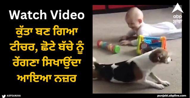 dog was seen teaching a small child to crawl video viral Viral Video: ਕੁੱਤਾ ਬਣ ਗਿਆ ਟੀਚਰ, ਛੋਟੇ ਬੱਚੇ ਨੂੰ ਰੇਂਗਣਾ ਸਿਖਾਉਂਦਾ ਆਇਆ ਨਜ਼ਰ, ਵੀਡੀਓ ਦੇਖ ਚਿਹਰੇ 'ਤੇ ਆ ਜਾਵੇਗੀ ਮੁਸਕਰਾਹਟ