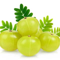 Amla benefits: ਰੋਜ਼ਾਨਾ ਆਂਵਲਾ ਖਾਣ ਦੇ ਫਾਇਦੇ