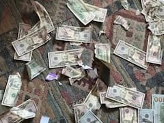 नोटों की गड्डी को खाना समझकर खा गया कुत्ता, एक झटके में हुआ लाखों का नुकसान, मालिक अभी तक सदमे में