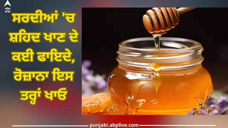 Many benefits of eating honey, eat like this daily Honey Benefits: ਸਰਦੀਆਂ 'ਚ ਸ਼ਹਿਦ ਖਾਣ ਦੇ ਕਈ ਫਾਇਦੇ, ਰੋਜ਼ਾਨਾ ਇਸ ਤਰ੍ਹਾਂ ਖਾਓ