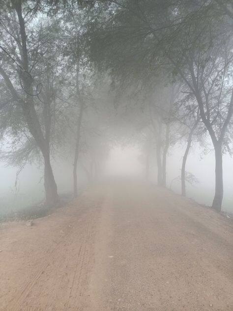 ਮੌਸਮ ਵਿਭਾਗ ਵੱਲੋਂ ਪੰਜਾਬ ਦੇ 15 ਜ਼ਿਲ੍ਹਿਆਂ 'ਚ ਔਰੇਂਜ ਅਲਰਟ