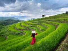 आपको भी है बाली में हनीमून मनाने का मन? गए तो ये जगहें घूमना बिल्कुल न भूलें