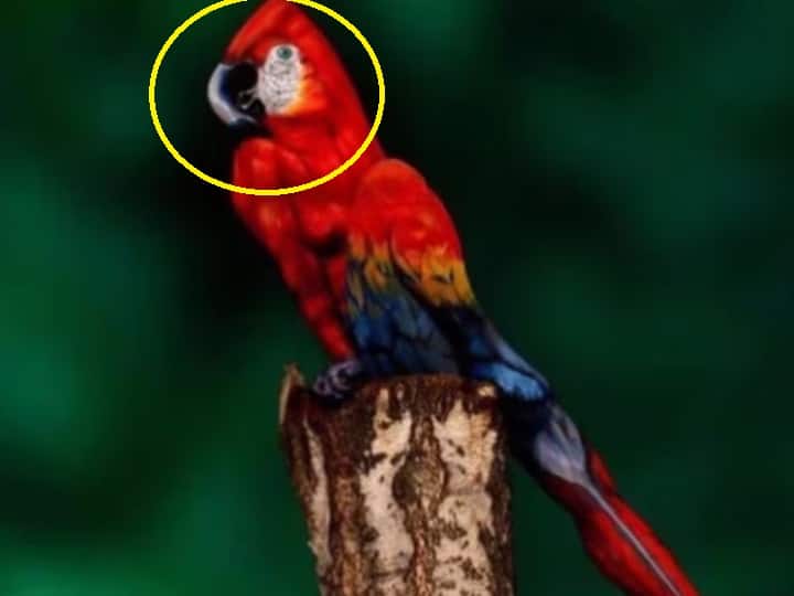 एक महिला अपने सिर पर हाथ रखकर लेटी नजर आएगी. कुछ देर बाद आप आराम से महिला को देख लेंगे.