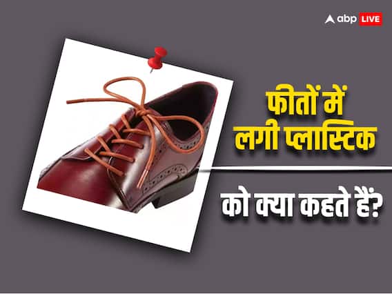 जूते की डोरी में आगे जो प्लास्टिक लगा होता है, उसे क्या कहते हैं? ये है इसका नाम जूते की डोरी में आगे जो प्लास्टिक लगा होता है, उसे क्या कहते हैं? ये है इसका नाम