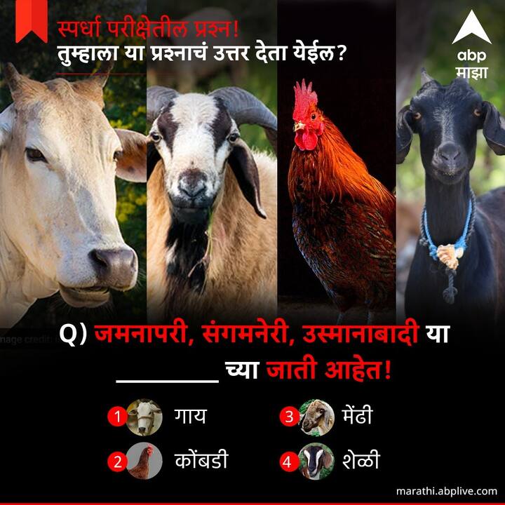 जमनापरी, संगमनेरी, उस्मानाबादी या पुढील पैकी कशाच्या जाती आहेत?