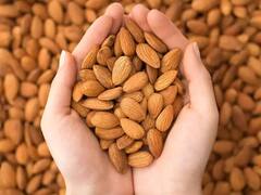 Benefits of Almonds:સવારે ખાલી પેટ પલાળેલી બદામ ખાવાના અદભૂત છે ફાયદા, આ રીતે કરો સેવન