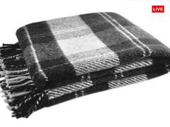 Shani Dev: साल 2024 के पहले शनिवार, शनि देव को प्रसन्न करने के लिए कर सकते हैं ये काम