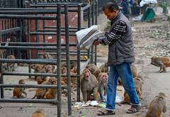 Delhi Weather Update: दिल्ली में न्यूनतम तापमान 8.9 डिग्री सेल्सियस रहा, जानें- रविवार को कैसा रहेगा मौसम?