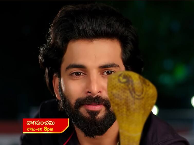 naga panchami serial promo today january 6th written update in telugu Naga Panchami Serial Today January 6th Episode: 'నాగ పంచమి' సీరియల్: ఫణేంద్ర మీద పూర్తి నమ్మకంతో పాములా మారి మోక్షని చుట్టేసిన పంచమి! 