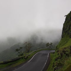 Weather Update : उत्तर भारतात थंडीची लाट कायम असून धुक्याबाबत अलर्ट जारी; तुमच्या शहरातील हवामान कसे असेल?