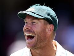 David Warner's TOP Records In Tests And ODIs