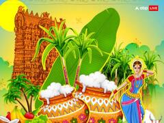 Pongal 2024: पोंगल 14 या 15 जनवरी 2024 कब ? जानें डेट, क्यों-कैसे मनाया जाता है ये पर्व