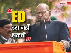 'ED डरा नहीं सकती', रोहित पवार की कंपनी पर छापे के बाद शरद गुट ने BJP पर लगाए गंभीर आरोप
