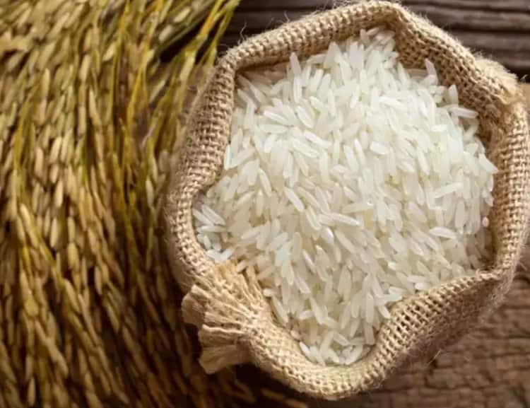 Rice Production News Which is the largest rice producing state in India भारतातील सर्वात मोठे तांदूळ उत्पादक राज्य कोणते आहे? संपूर्ण यादी एका क्लिकवर