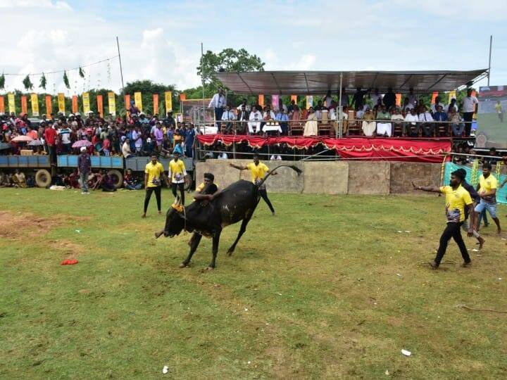 தமிழர்களின் வீர விளையாட்டுப் போட்டியான ஜல்லிக்கட்டு இலங்கையில் நடைபெற்றது.