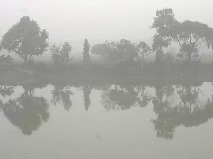 विशेषज्ञों का मानना है कि राजधानी दिल्ली में पाकिस्तान और अफगानिस्तान से आने वाली हवाओं के कारण ठंड ज्यादा पड़ती है. इन सर्द हवाओं के कारण दिल्ली समेत पूरे एनसीआर में ठंड बढ़ जाती है.