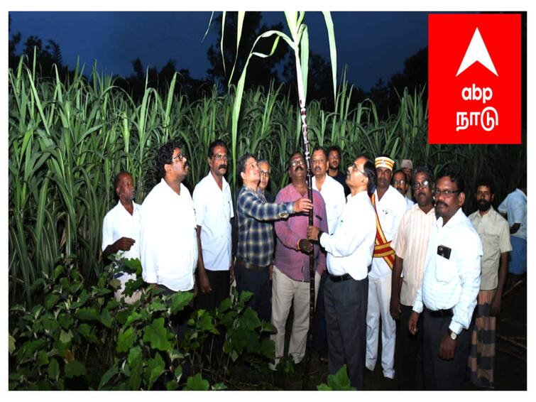 Action to procure sugarcane from all farmers in Mayiladuthurai district Pongal package Tn Government Pongal Parisu Thogai 2024: பொங்கல் பரிசுத் தொகுப்பு விநியோகம்.. புகார்களை தெரிவிக்க கட்டணமில்லா தொலைபேசி எண் அறிவிப்பு..